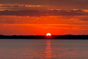 17198 Lakeview Dr, Flint, TX 75762 - Photo 44