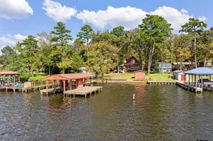 17198 Lakeview Dr, Flint, TX 75762 - Photo 38