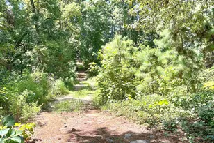 10528 FM 344, Bullard, TX 75757 - Photo 6