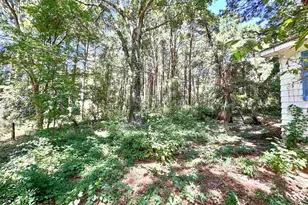 10528 FM 344, Bullard, TX 75757 - Photo 4