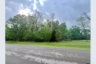 21079 Gatlinburg Rd., Bullard, TX 75757 - Photo 22