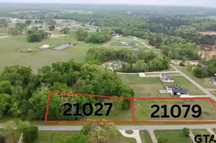 21079 Gatlinburg Rd, Bullard, TX 75757 - Photo 1