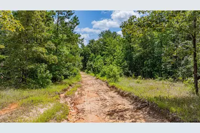 Tbd Cr 3111, Kilgore, TX 75662 - Photo 28