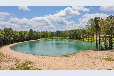 Tbd Cr 3111, Kilgore, TX 75662 - Photo 4