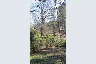 Tbd Lot 1 Brierwood Drive, Frankston, TX 75763 - Photo 6