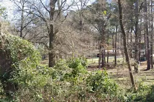 Tbd Lot 1 Brierwood Dr, Frankston, TX 75763 - Photo 6