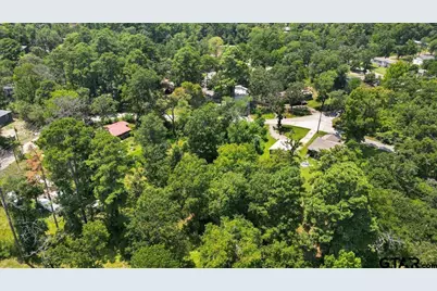 Tbd Lot 1 Brierwood Drive, Frankston, TX 75763 - Photo 1