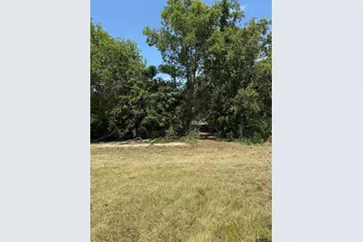 1201 S Houston St, Bullard, TX 75757 - Photo 4