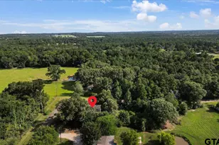 13418 Cr 2290, Arp, TX 75750 - Photo 34