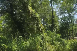 Tbd Lot 2 Brierwood Dr, Frankston, TX 75763 - Photo 4