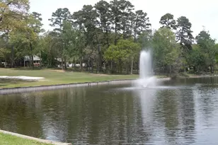 371 Wildwood, Holly Lake Ranch, TX 75765 - Photo 24