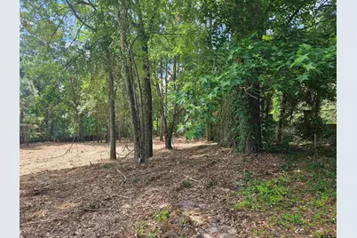 13311 White Tail Drive, Tyler, TX 75707 - Photo 16