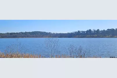 13311 White Tail Drive, Tyler, TX 75707 - Photo 12