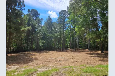 13311 White Tail Drive, Tyler, TX 75707 - Photo 10