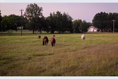 12701 Fm 2010, Chandler, TX 75758 - Photo 22