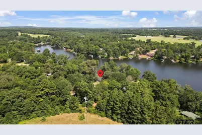 20009 Southside Cir, Winona, TX 75792 - Photo 46