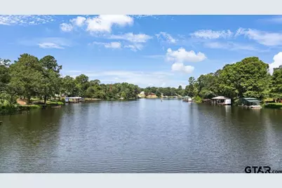 20009 Southside Cir, Winona, TX 75792 - Photo 48