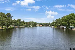 20009 Southside Cir, Winona, TX 75792 - Photo 48