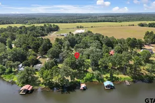 20009 Southside Cir, Winona, TX 75792 - Photo 44