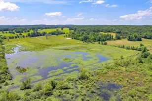 12250 Co Rd 3513, Brownsboro, TX 75756 - Photo 8