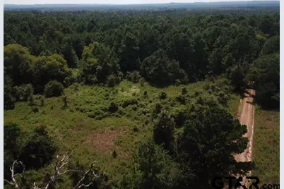 Tbd County Road 2218, Rusk, TX 75785 - Photo 4