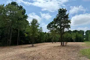 Tbd County Road 3408, Jefferson, TX 75657 - Photo 1