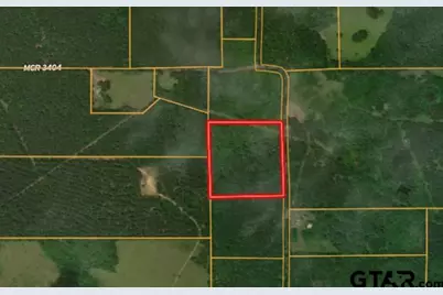 Tbd County Road 3408, Jefferson, TX 75657 - Photo 10