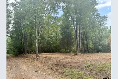 Tbd County Road 3408, Jefferson, TX 75657 - Photo 4