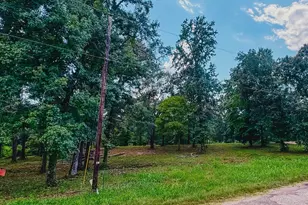 437 Co Rd 3608, Bullard, TX 75757 - Photo 4