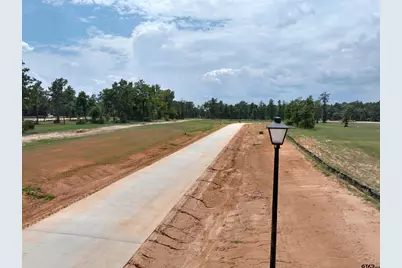 11117 Back Forty, Whitehouse, TX 75791 - Photo 1