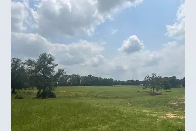 Lot 8 Fm 315, Chandler, TX 75758 - Photo 2