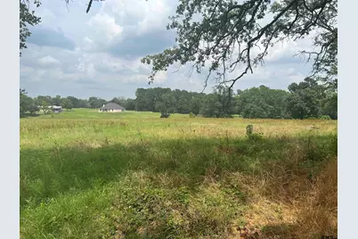 Lot 8 Fm 315, Chandler, TX 75758 - Photo 4