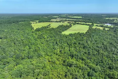 00 County Road 4501, Jacksonville, TX 75766 - Photo 22