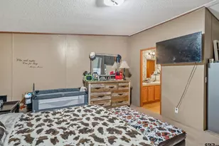 1655 County Rd 2120, Maydelle, TX 75772 - Photo 26