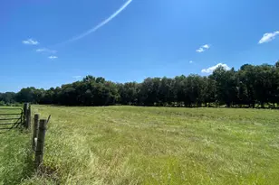 0000 County Road 4216, Jacksonville, TX 75766 - Photo 1