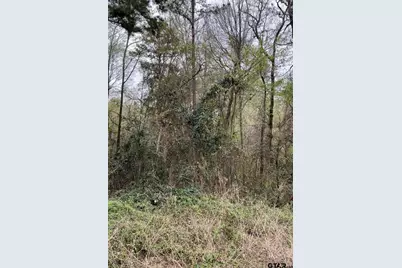 5152 Shiloh Ridge, Tyler, TX 75703 - Photo 2