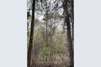 5152 Shiloh Ridge, Tyler, TX 75703 - Photo 6