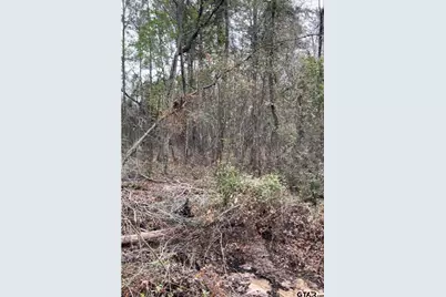 5152 Shiloh Ridge, Tyler, TX 75703 - Photo 12