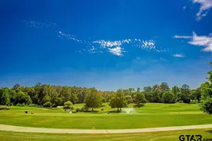 321 Lakeview Dr, Hideaway, TX 75771 - Photo 30