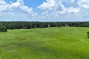 Tbd Cr 4613, Athens, TX 75751 - Photo 1