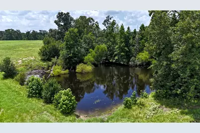 Tbd Cr 4613, Athens, TX 75751 - Photo 6