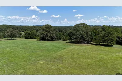 Tbd Lee Drive, Murchison, TX 75778 - Photo 4