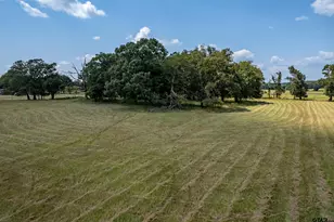 9303 W Cr 468, Henderson, TX 75654 - Photo 26