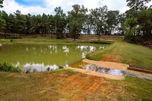 368 County Rd 3318, Jacksonville, TX 75766 - Photo 30