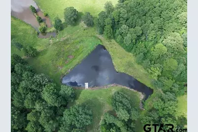 2770 Fm 726, Diana, TX 75640 - Photo 42