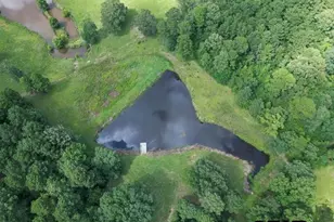 2770 FM 726, Diana, TX 75640 - Photo 42