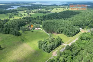 2770 FM 726, Diana, TX 75640 - Photo 2