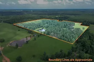 2770 FM 726, Diana, TX 75640 - Photo 46