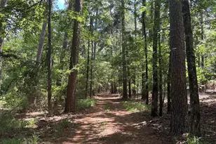 19001 Cr 49, Tyler, TX 75704 - Photo 20