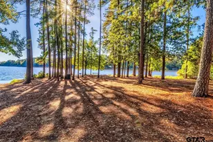 1052 Greenbriar Trail, Holly Lake Ranch, TX 75765 - Photo 34